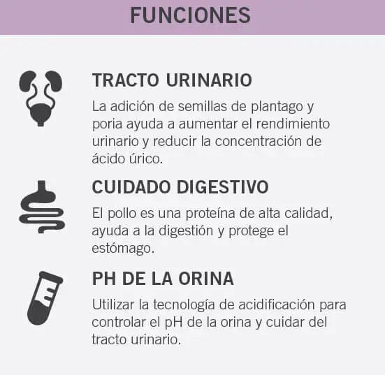 Special Care Alimento completo para el cuidado urinario de gatos adultos