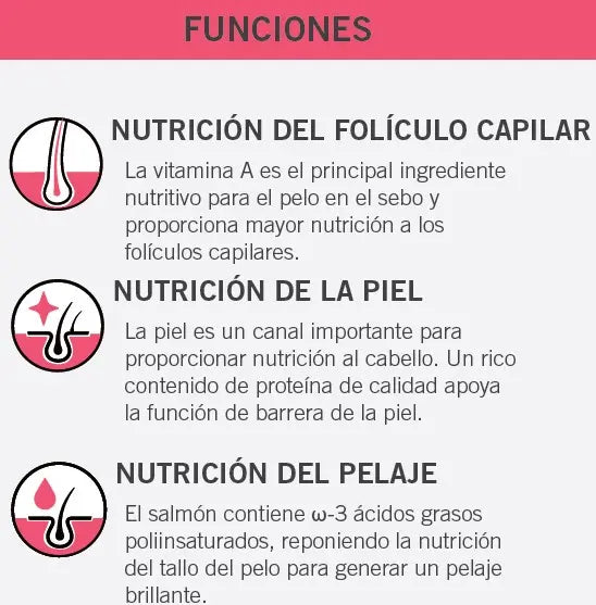 Nature Gourmet Salmón Alimento Completo Para Perros de Todas Las Edades